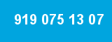 919 075 13 07
